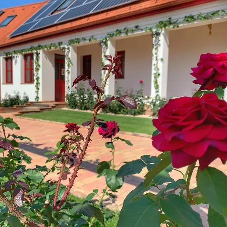 Bed & Breakfast Beck's Borveranda Palkonya