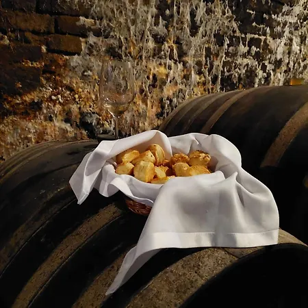 Bed & Breakfast Beck's Borveranda Palkonya