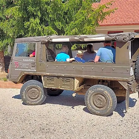 Beck's Borveranda Frühstückspension Palkonya